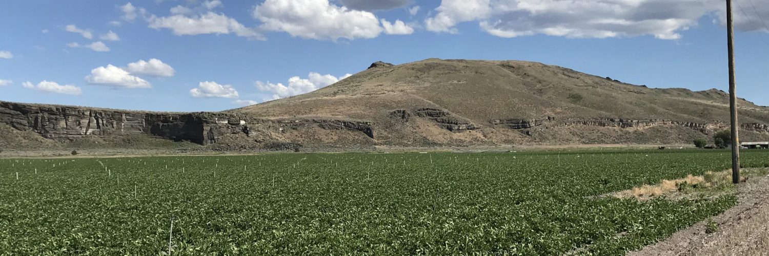 Tulelake Irrigation District